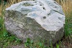 Стар. Белица (Гомел. р-н), усадьба: парк:  камень с надписями