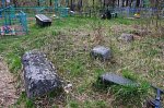Ветка, кладбище старообрядческое